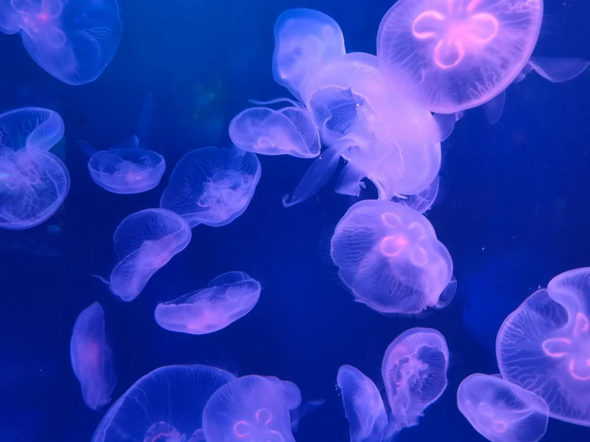 Port of Nagoya Public Aquarium view 2