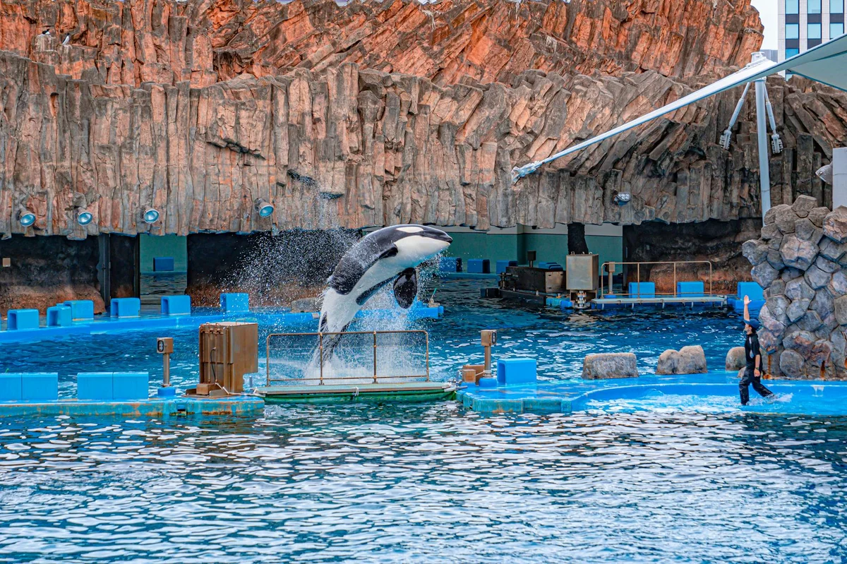 Port of Nagoya Public Aquarium feature