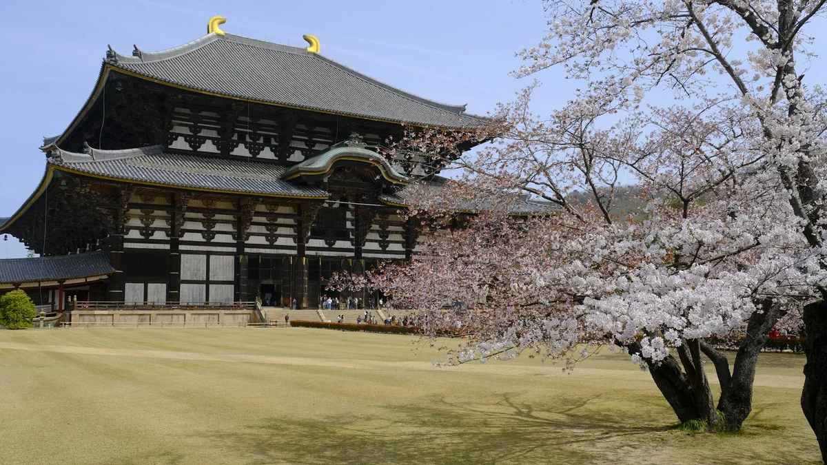 Heijo Palace Site view 1