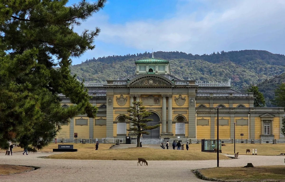 Nara National Museum feature
