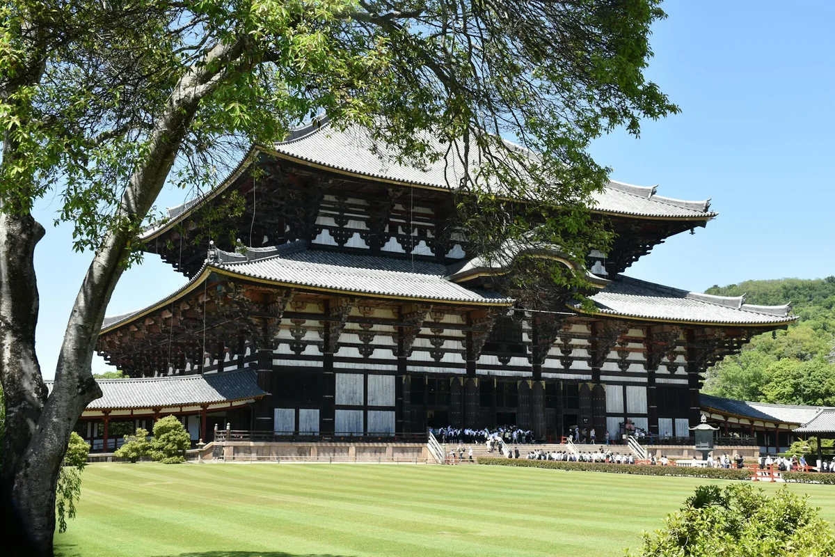 Nara Park view 2
