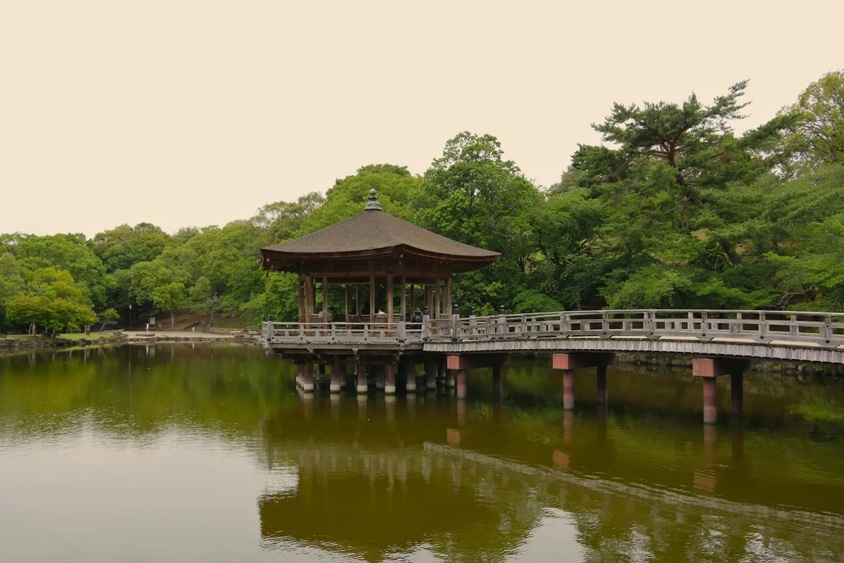 Nara Park view 1