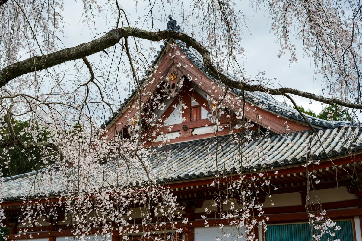 Shin-Yakushi-ji Temple feature