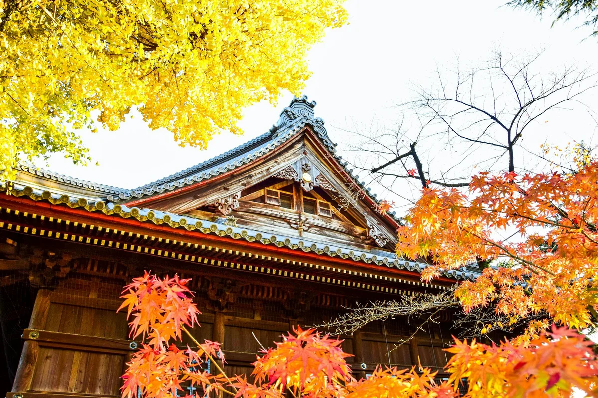 Toshodai-ji Temple feature
