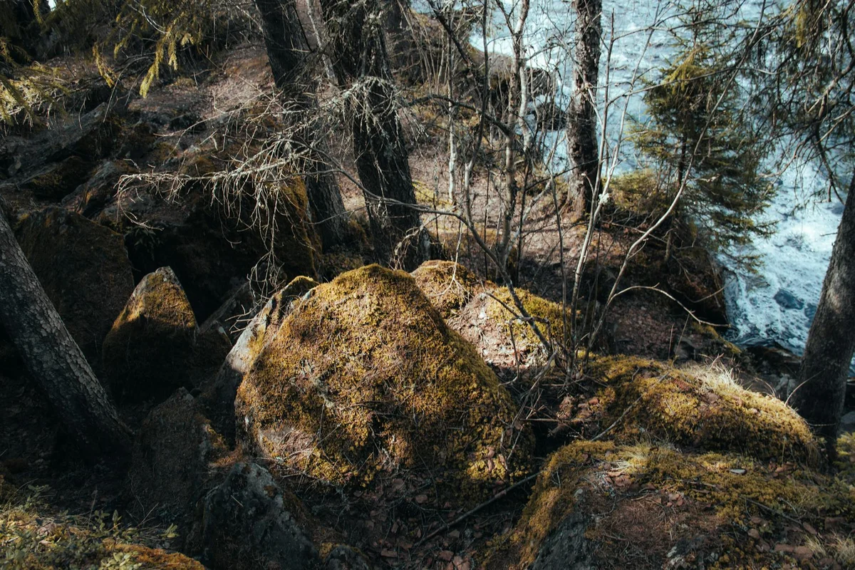 Oirase Pond view 2