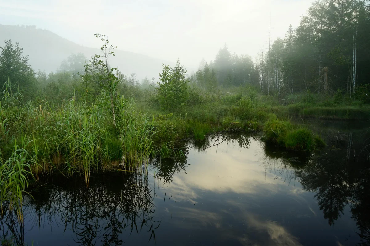 Oirase Pond feature