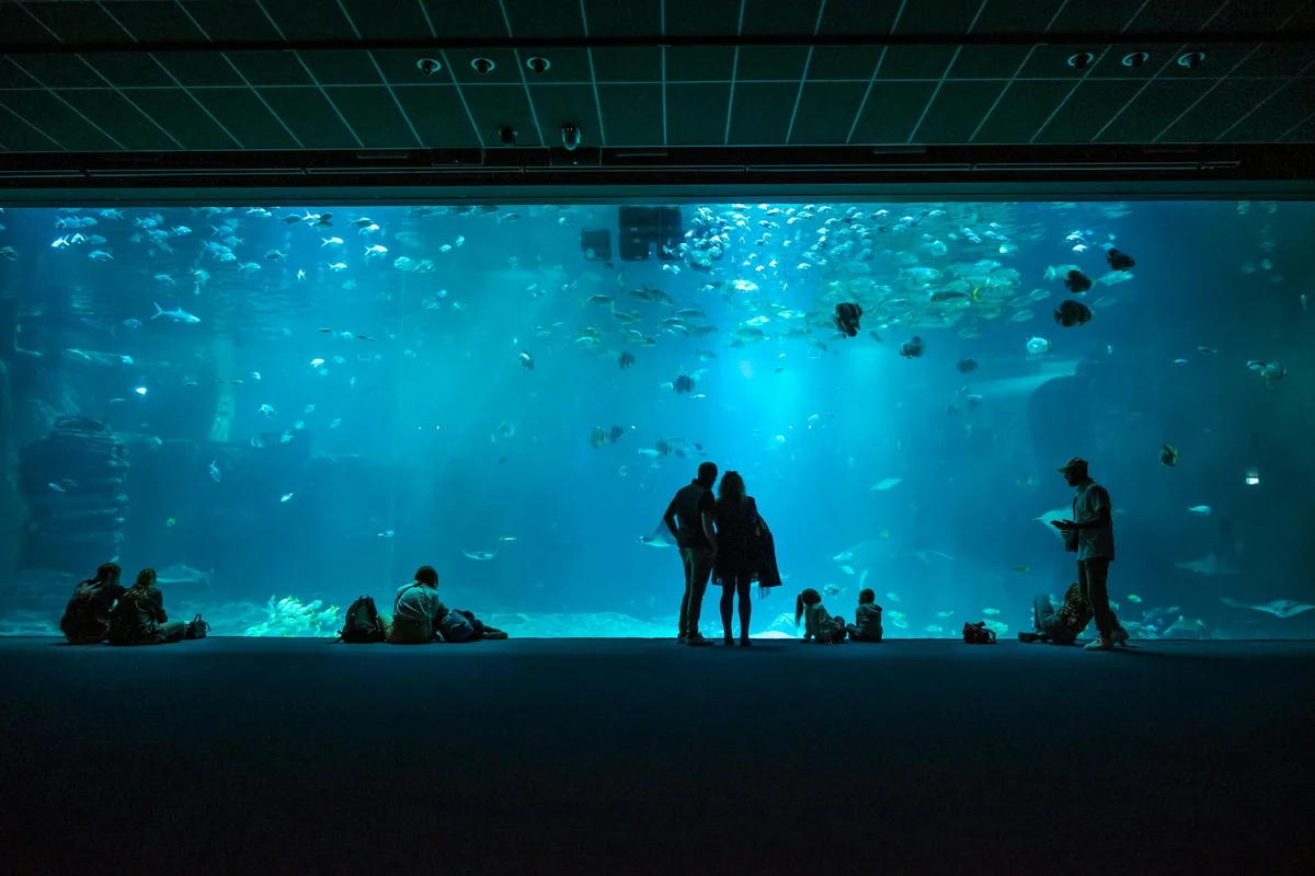 Okinawa Commemorative National Government Park feature