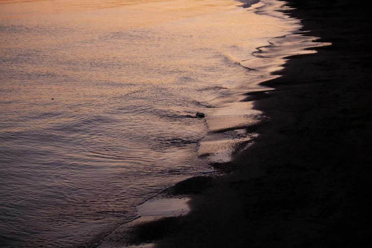 OKUMA Private Beach & Resort view 1