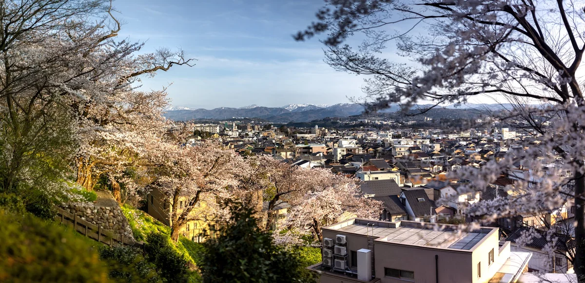 21st Century Museum of Contemporary Art, Kanazawa feature