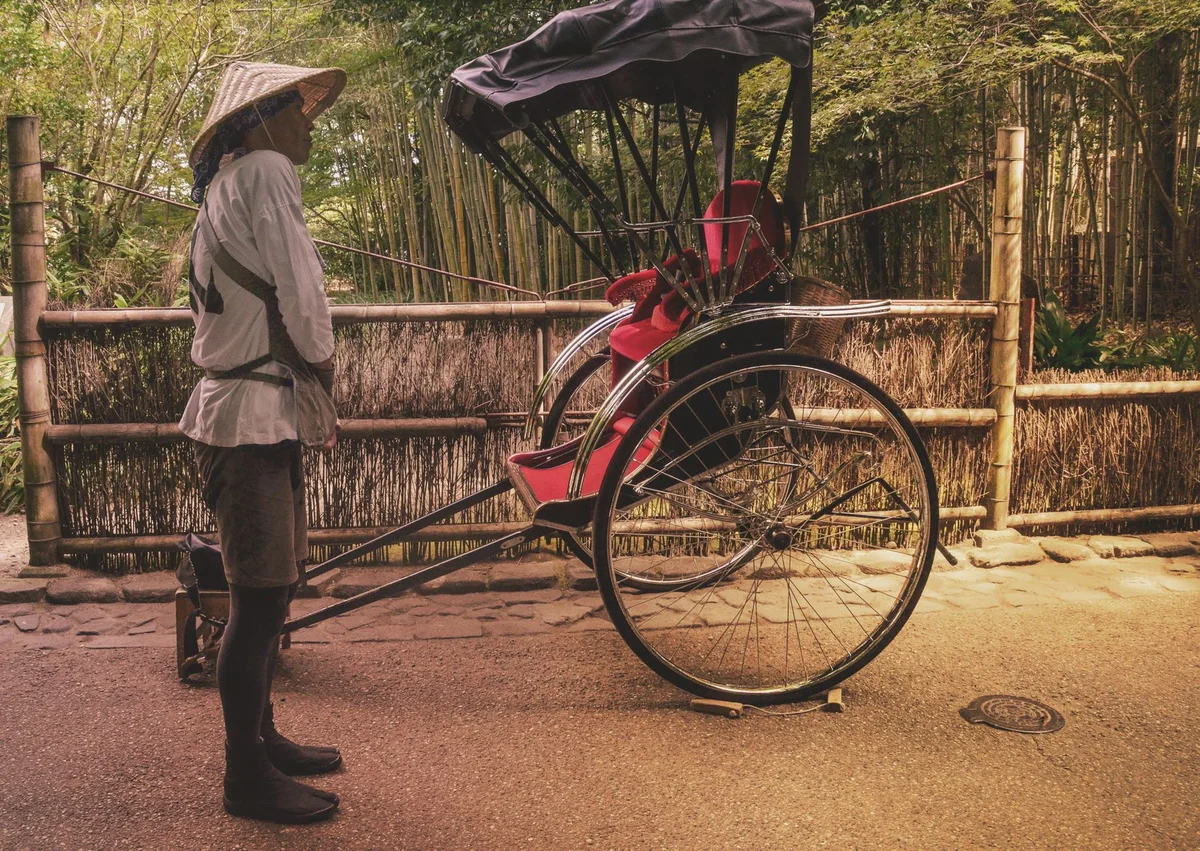 Arashiyama Bamboo Grove feature
