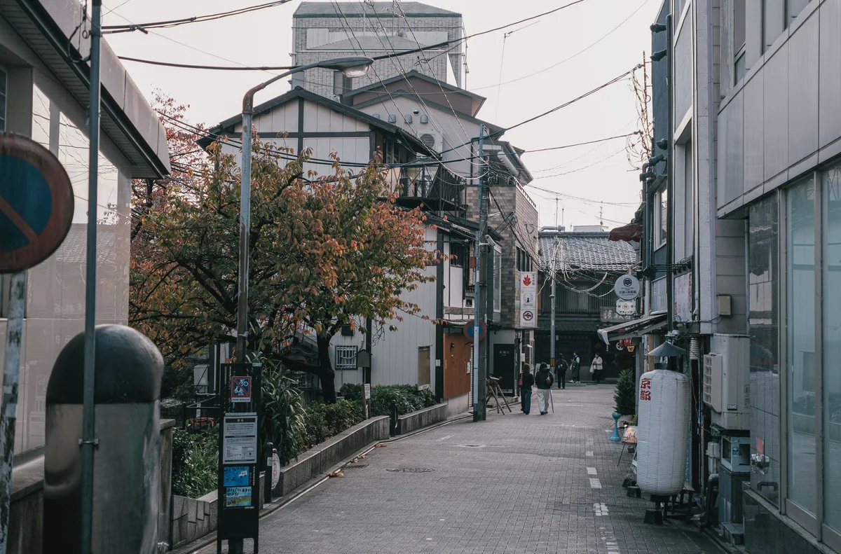 Arimatsu Old Town feature
