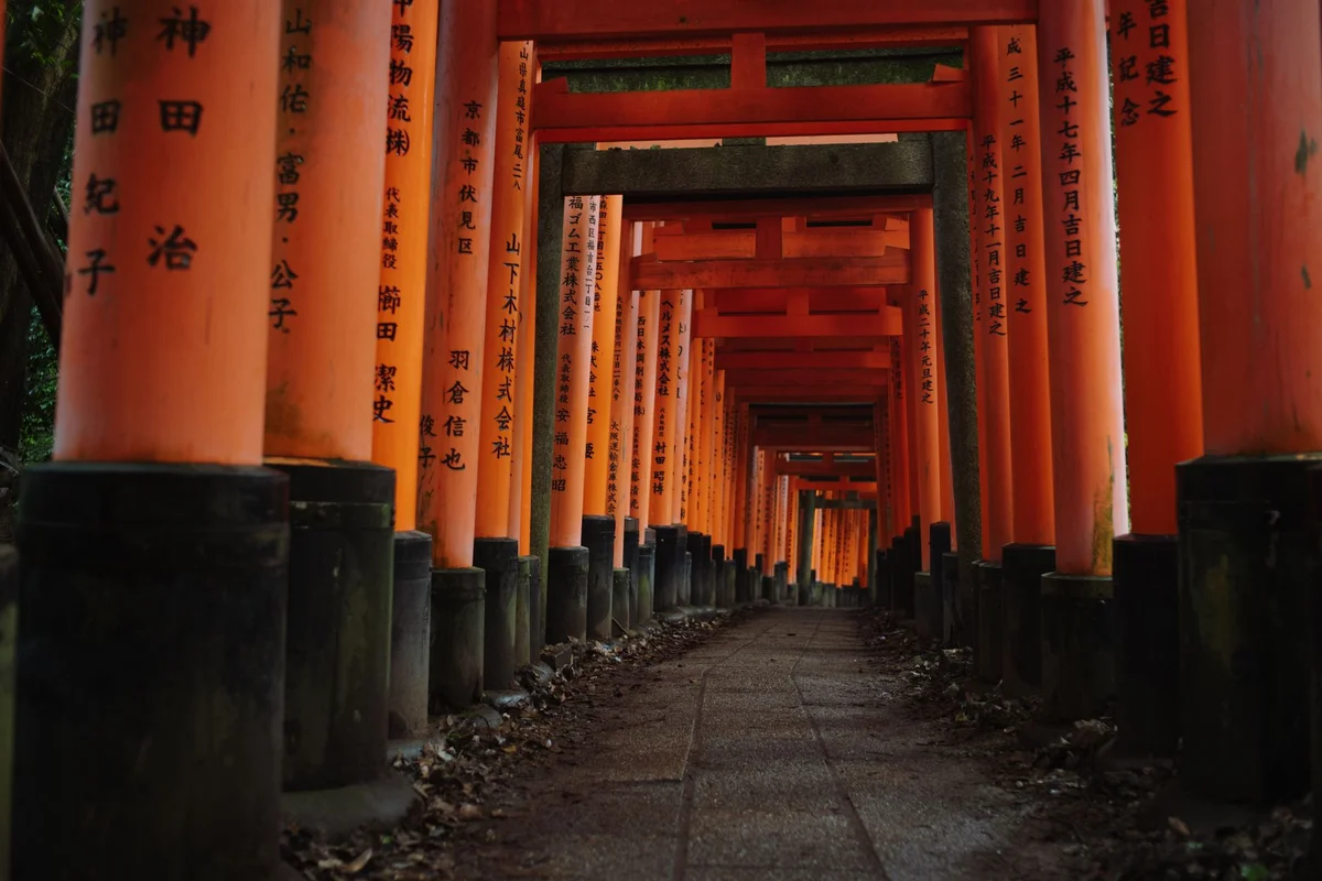 Chugu-ji feature