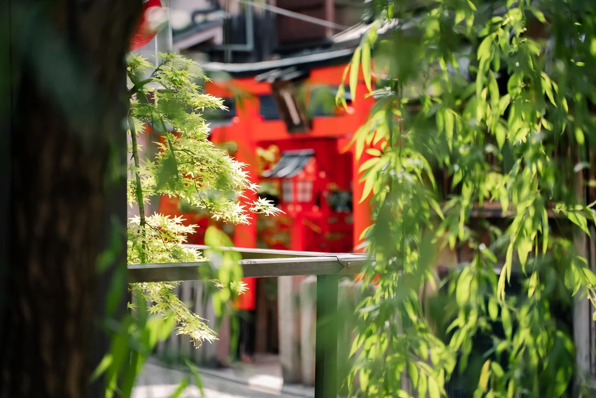 [object Object] view 2