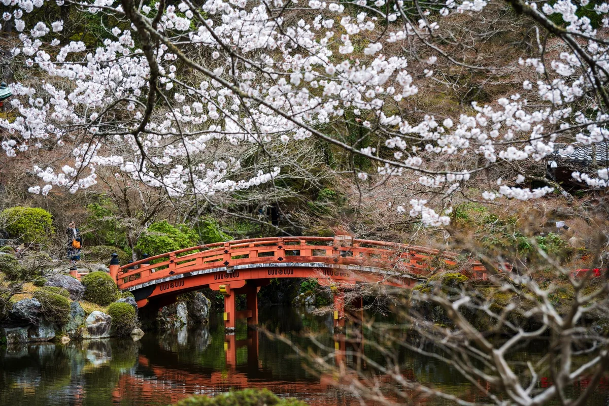 Inokashira Park feature