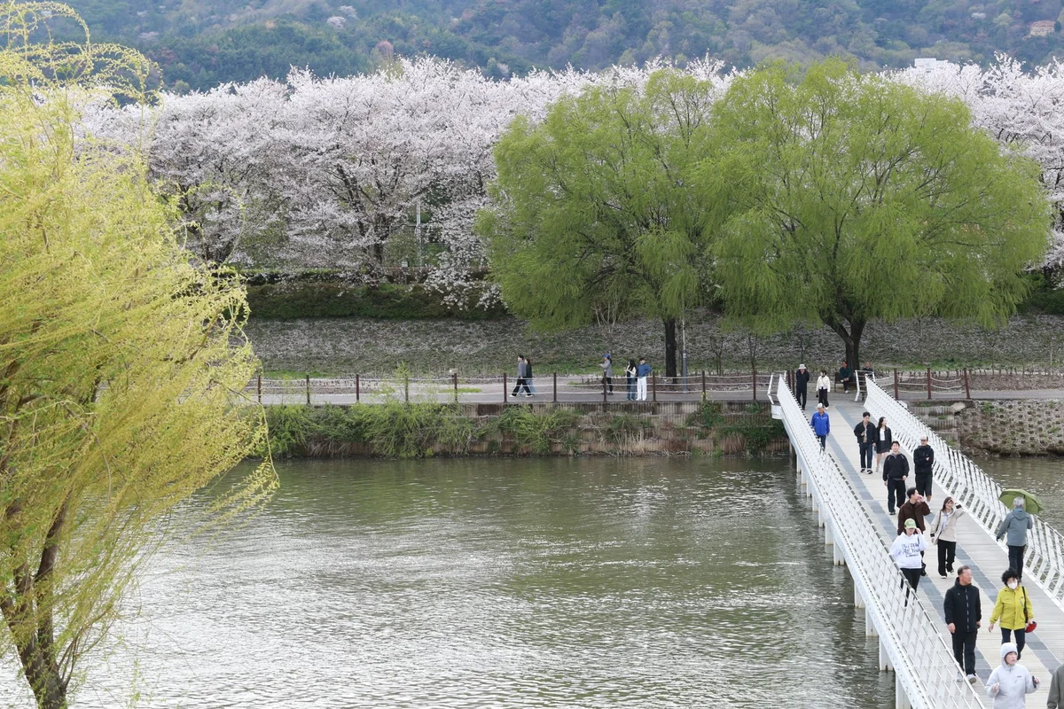Inokashira Park view 1