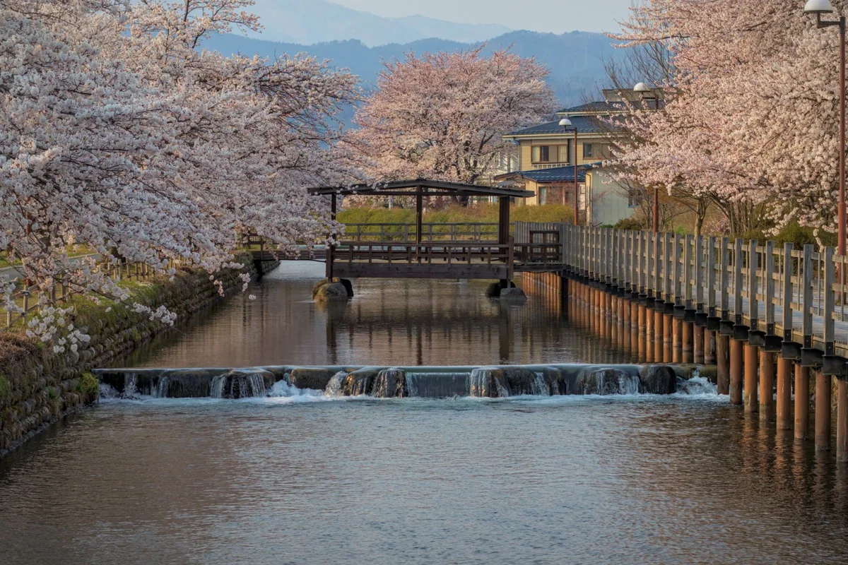 Inokashira Park view 2