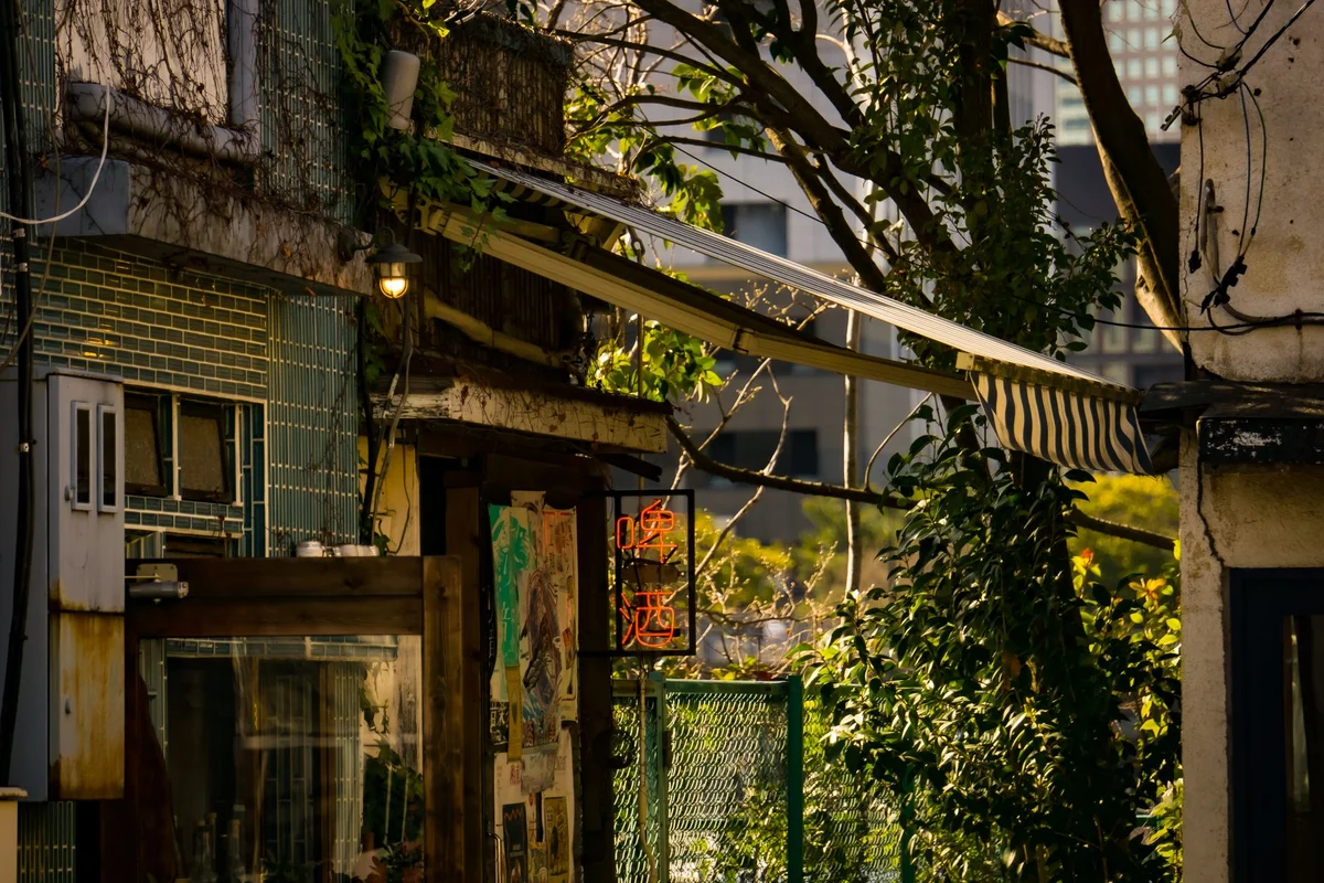 Koenji Look Street view 2