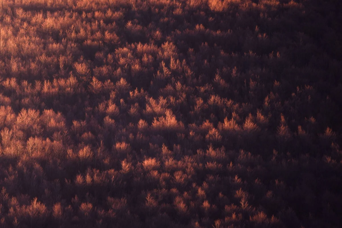 [object Object] view 2