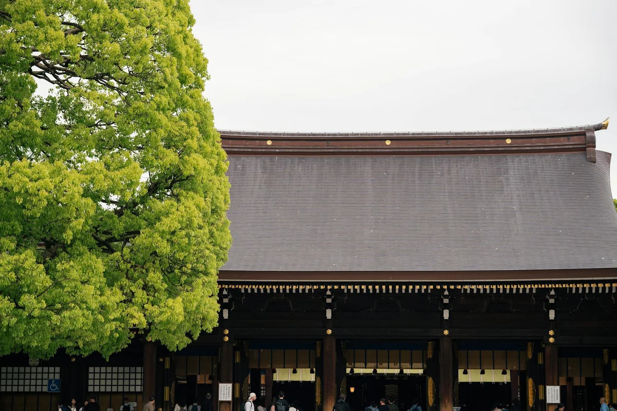 Meiji Shrine feature