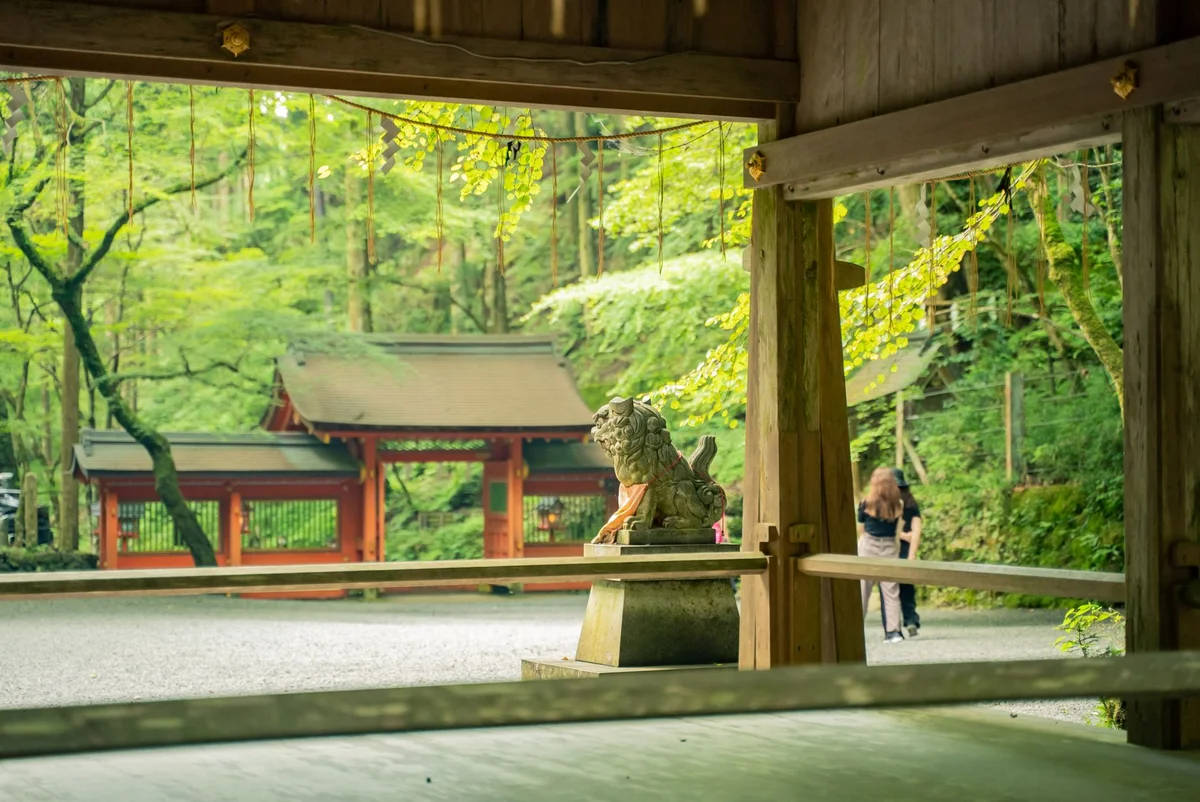 Nezu Shrine view 2
