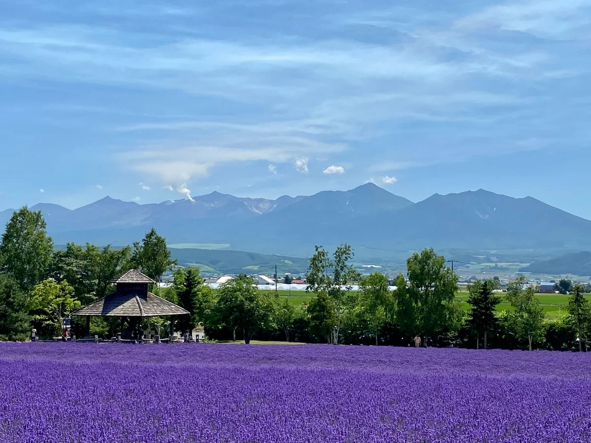 Shikisai No Oka feature