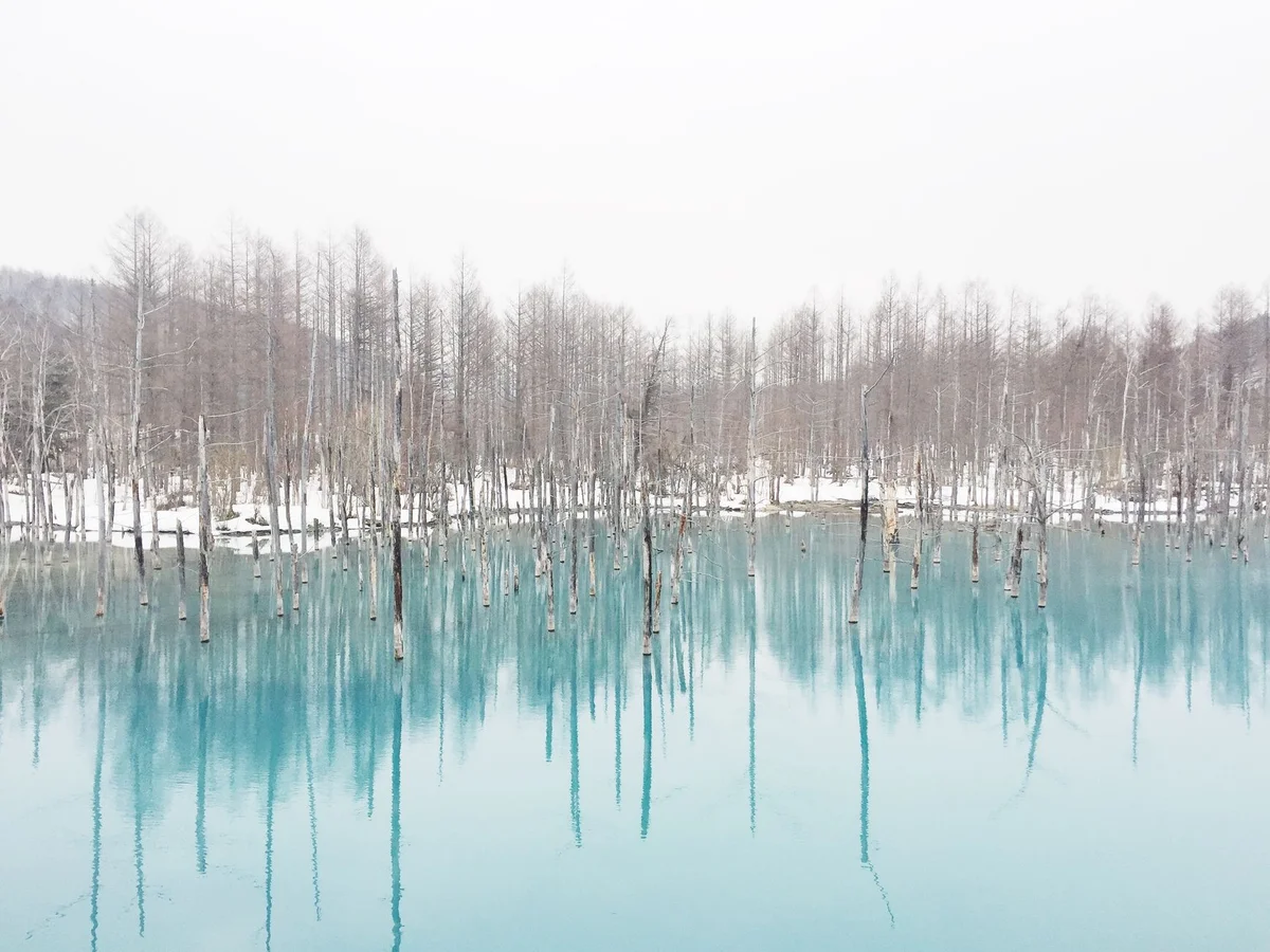 Shirogane Blue Pond view 2