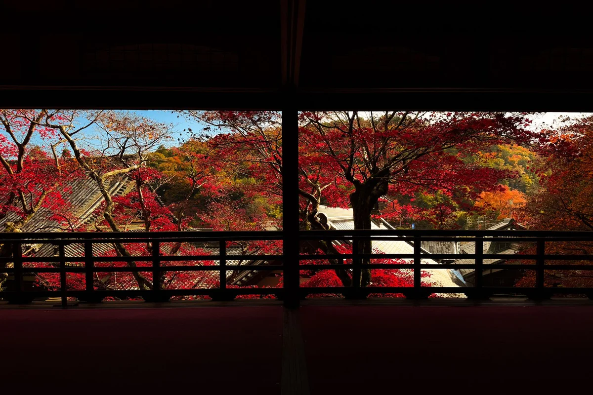 Shogunzuka Seiryuden feature