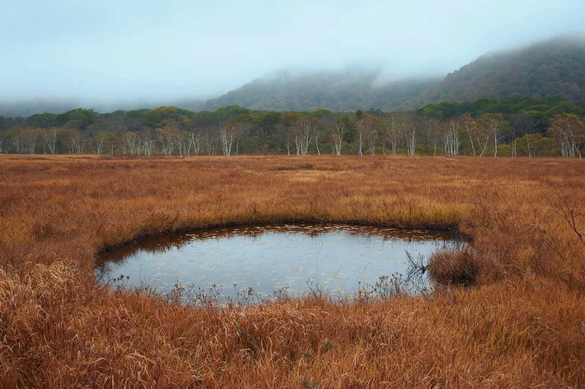 Sugatami Pond view 1