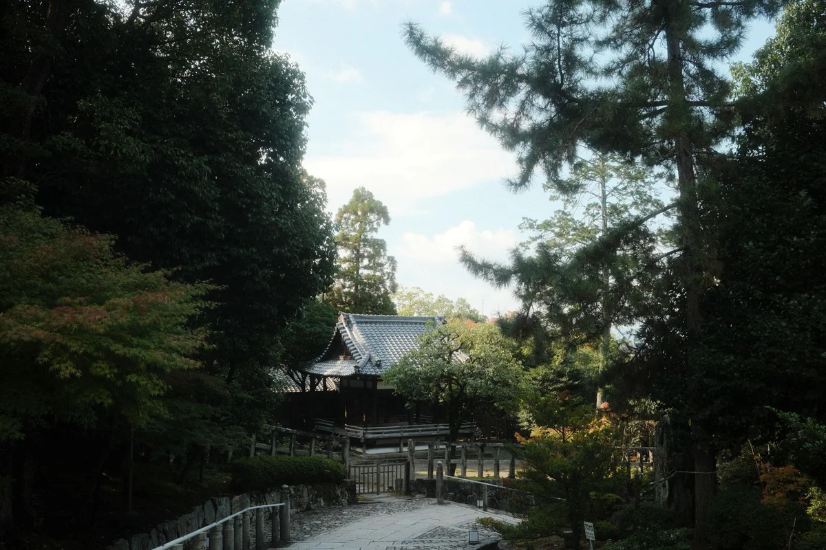 Tadasu No Mori view 1