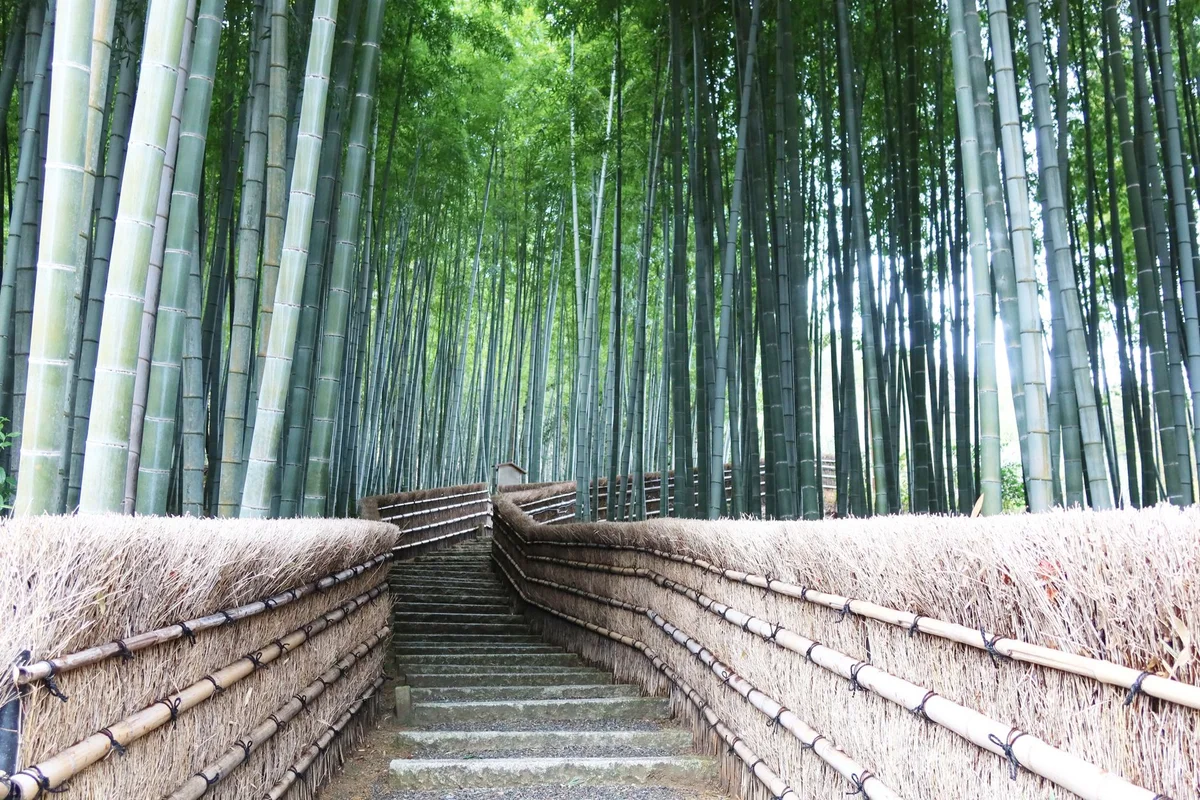 Tenryu-Ji feature