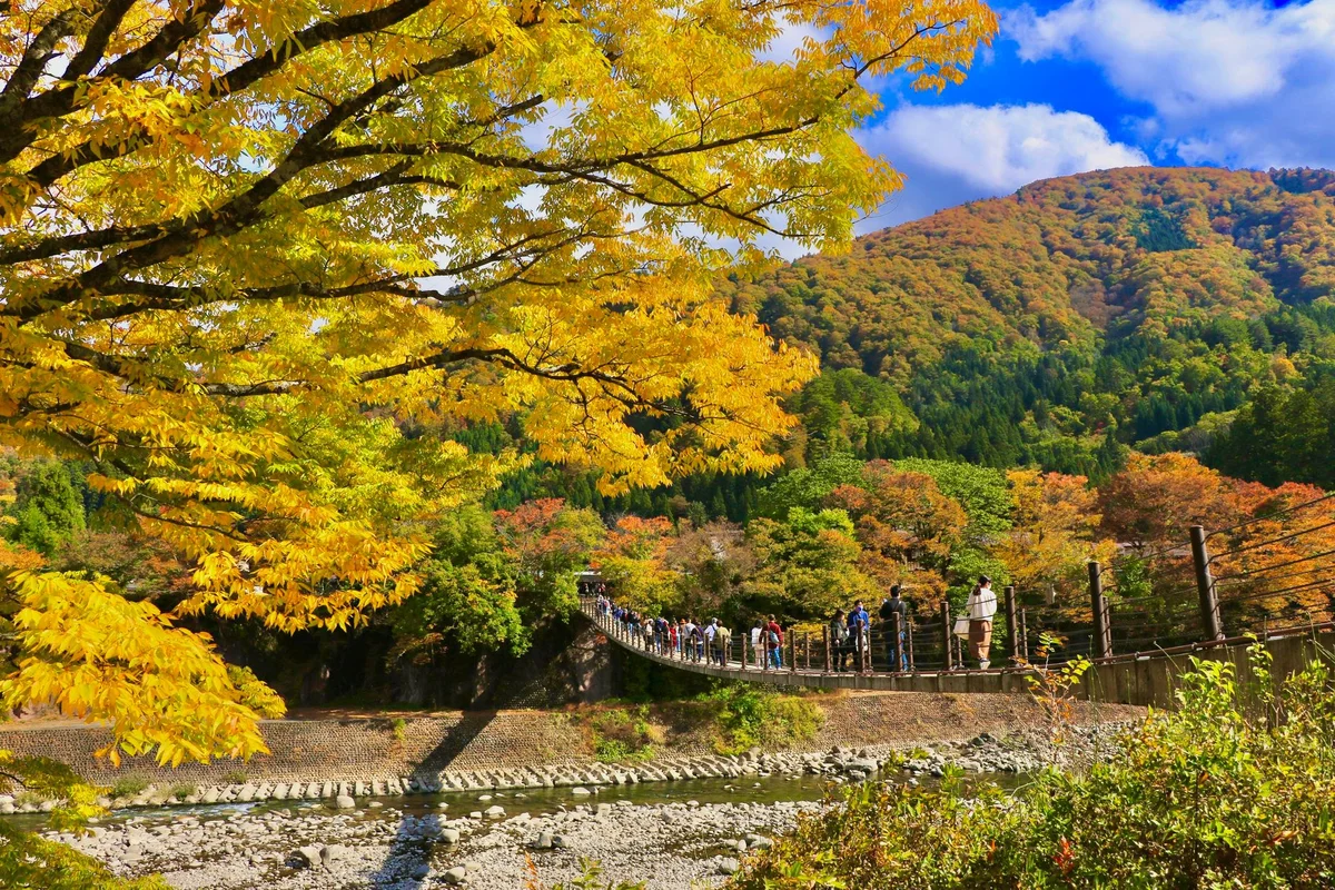 Tokugawa Art Museum feature