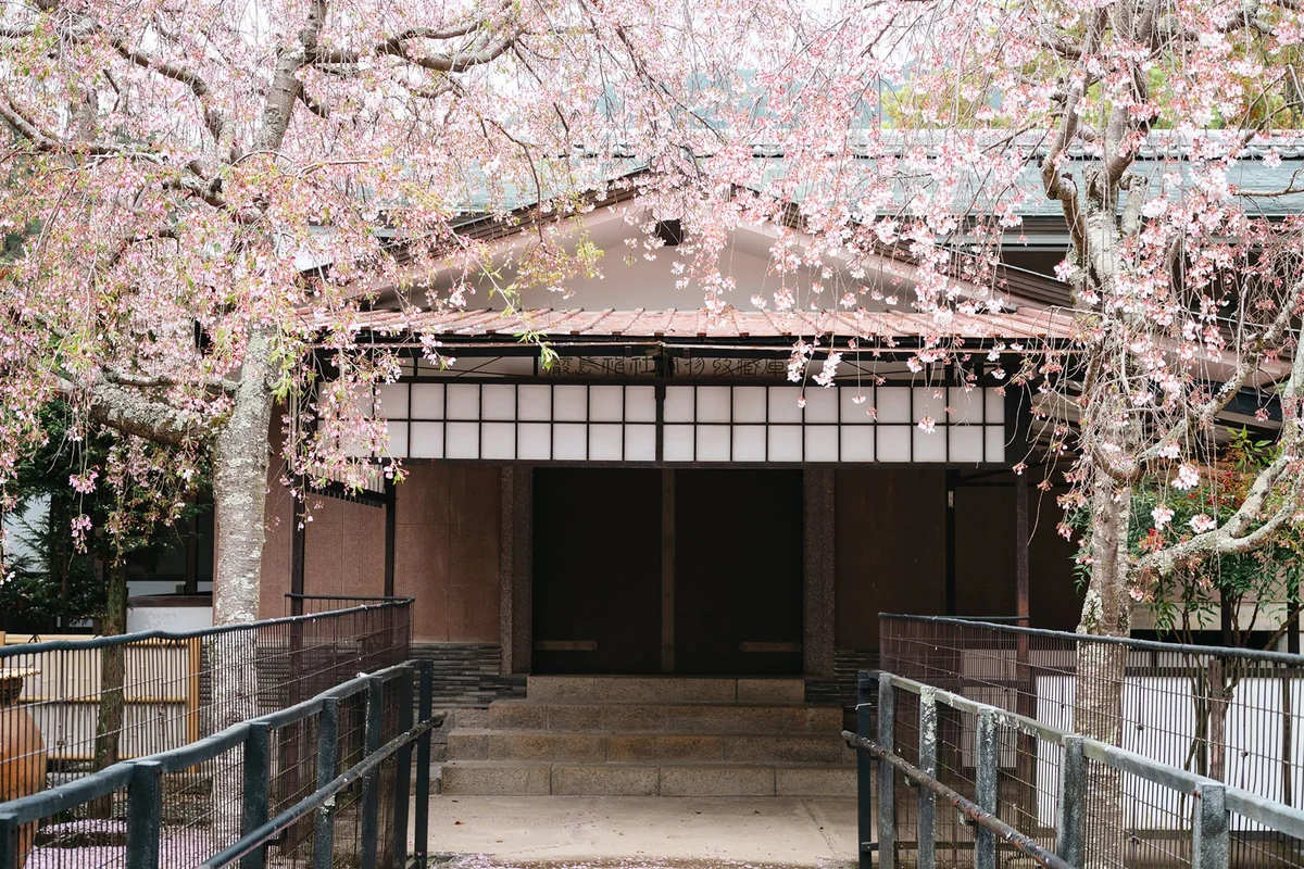 Tokyo National Museum feature