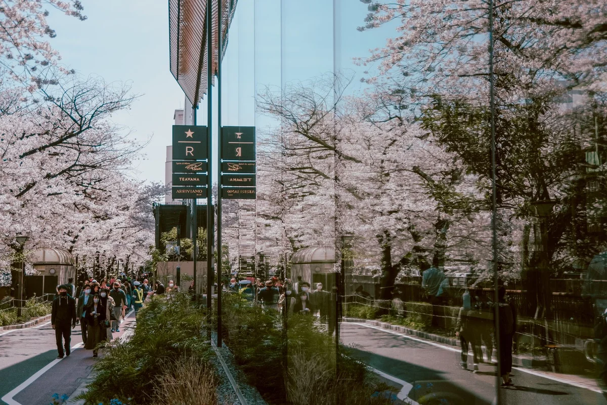 Tokyo National Museum view 2