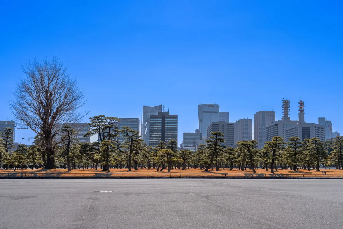 Tokyo Station view 1
