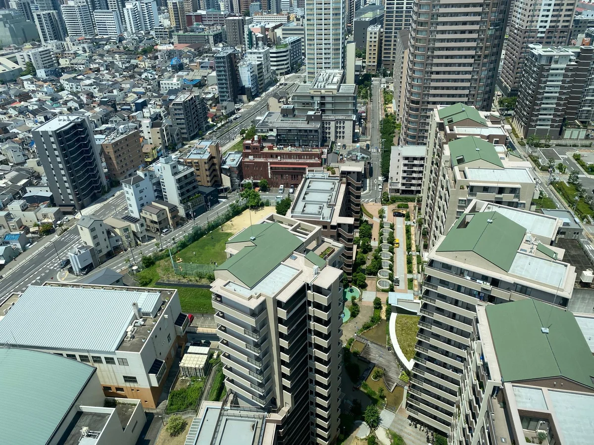 Toyosu Market view 2