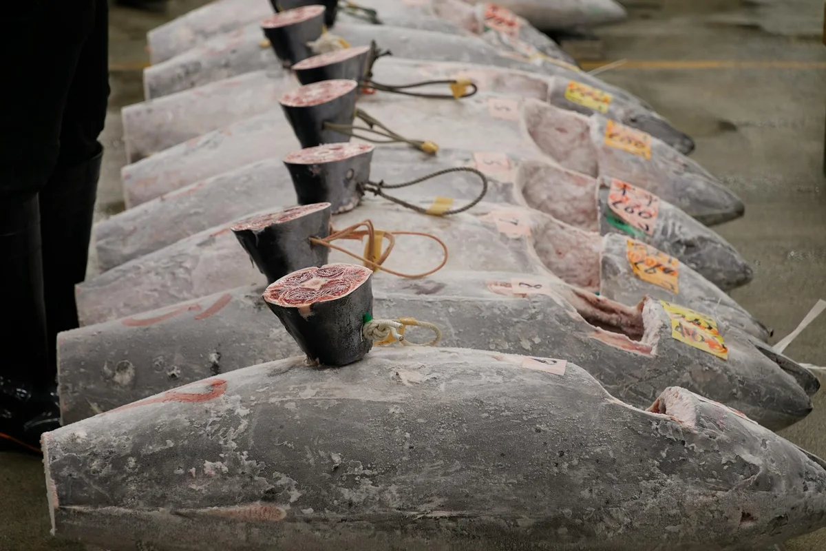 Tsukiji Outer Market view 2