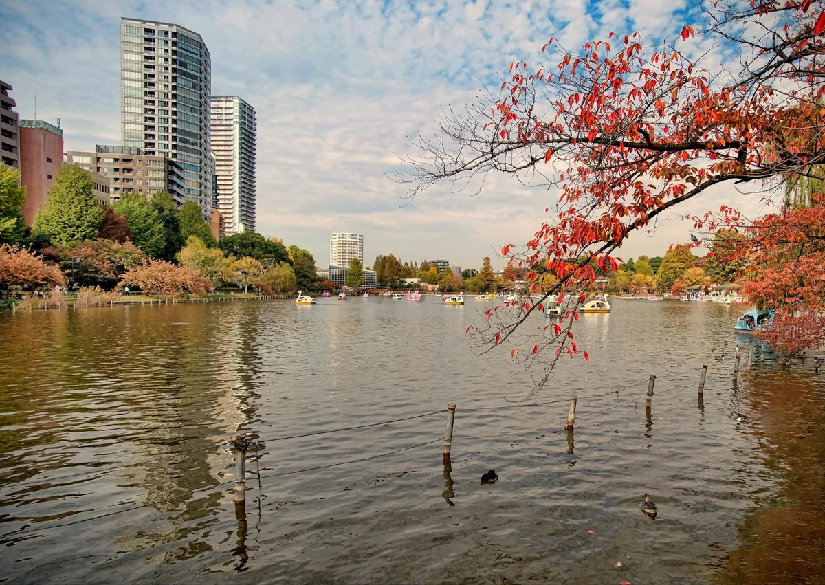 Ueno Park view 1