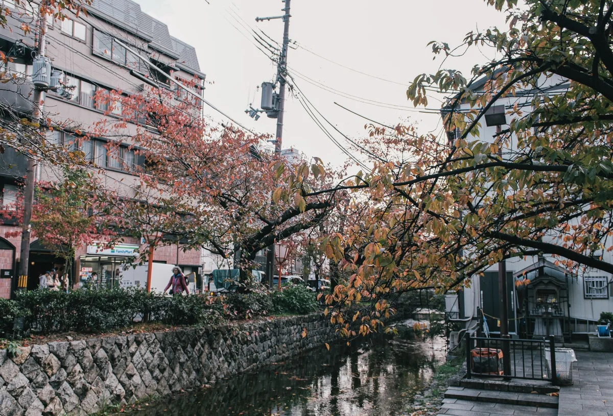 Yamazaki River feature