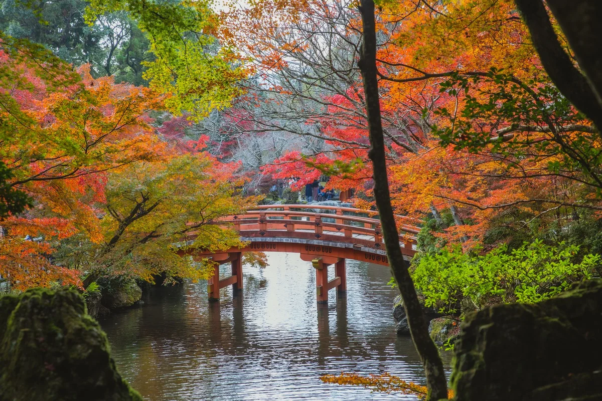 Yoshikien Garden feature