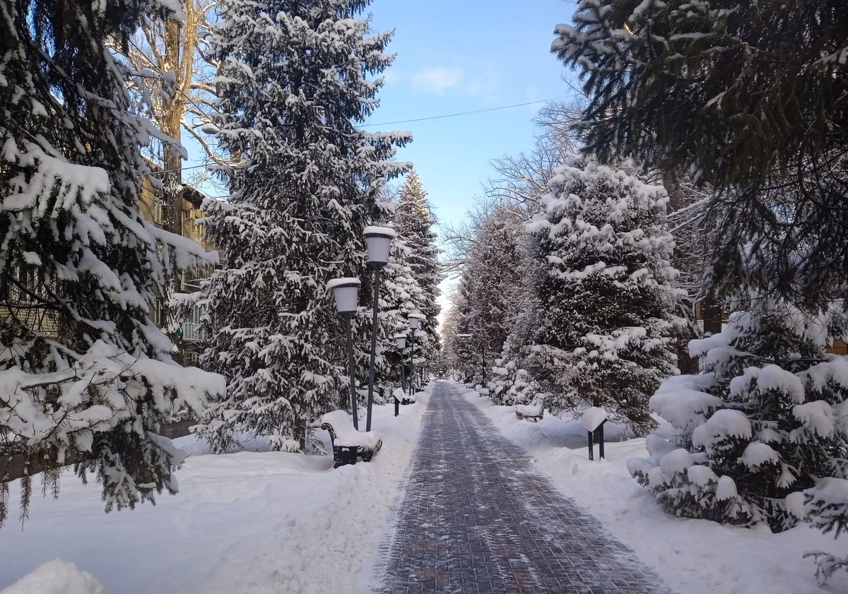 Panfilov Pedestrian Street view 2