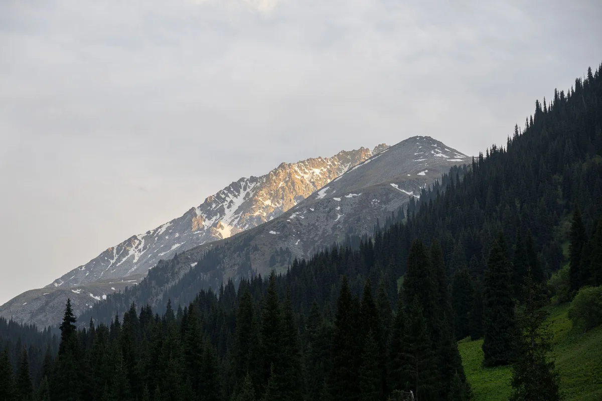 Activity view 1