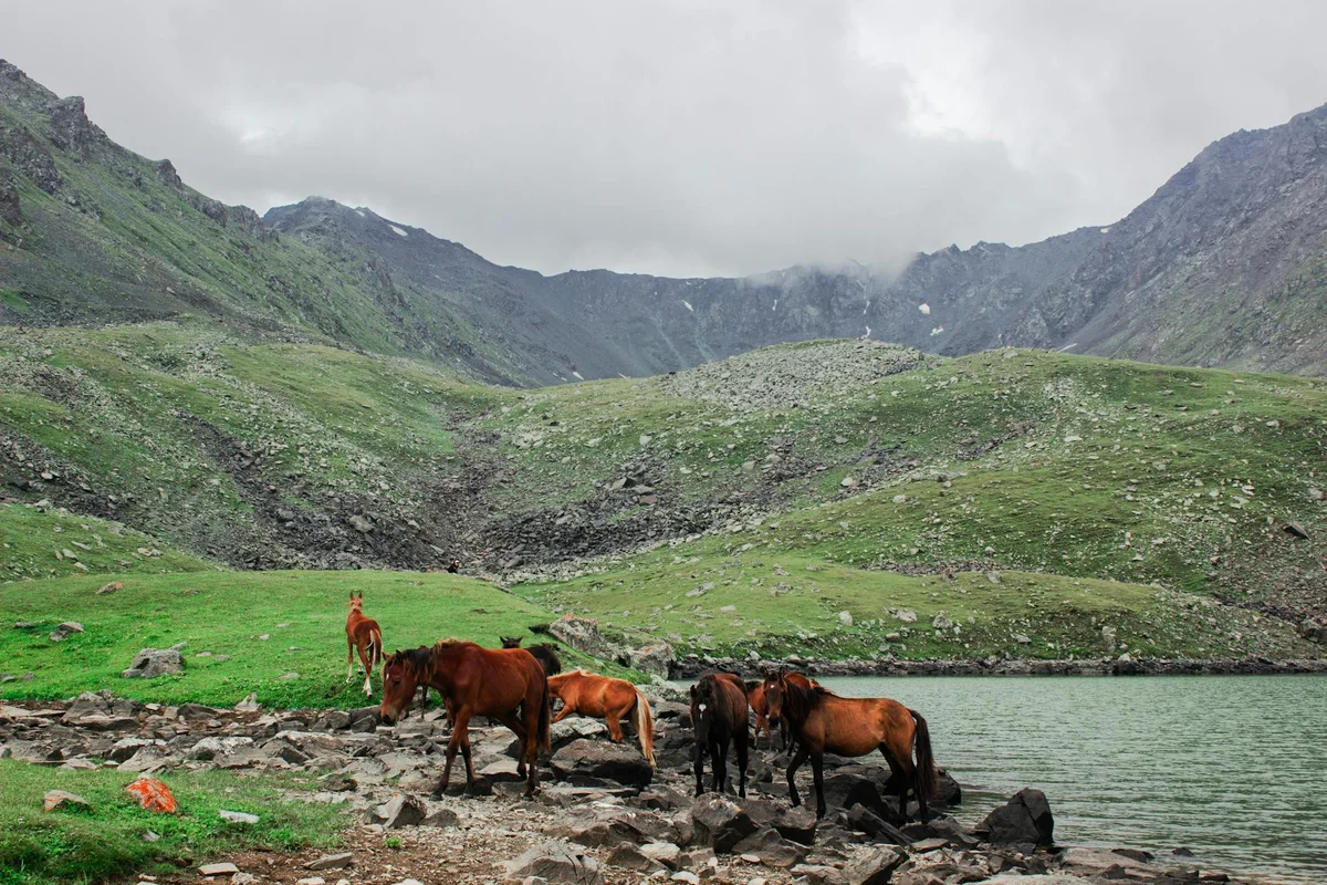 Issyk-Kul Lake feature