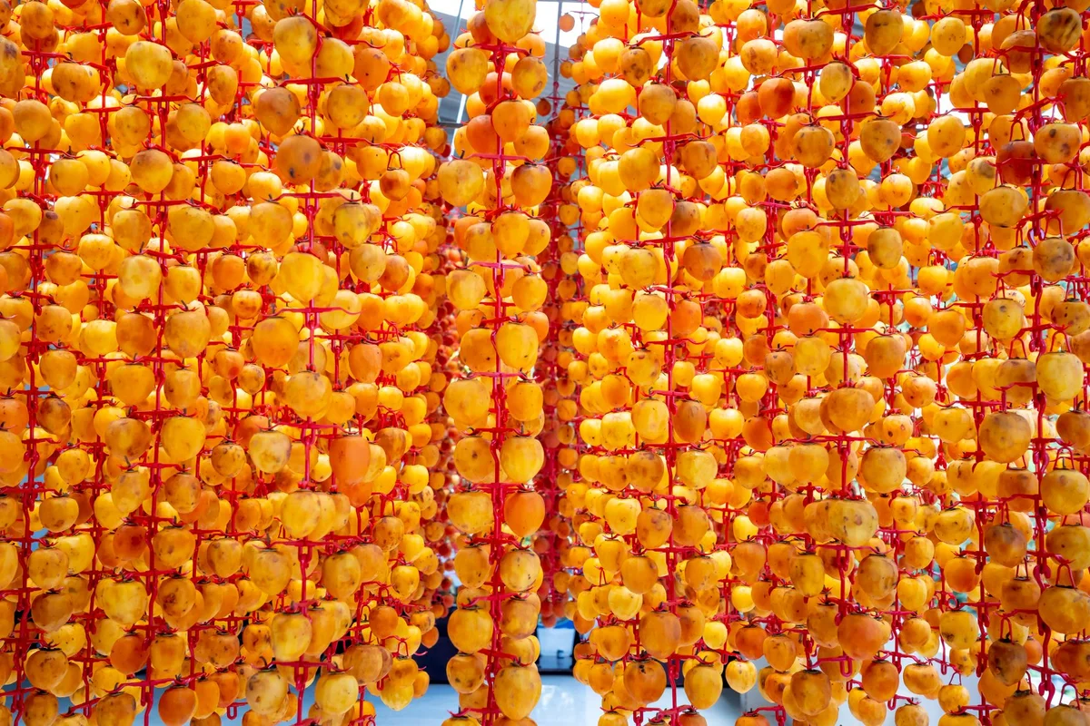 Osh Bazaar view 1