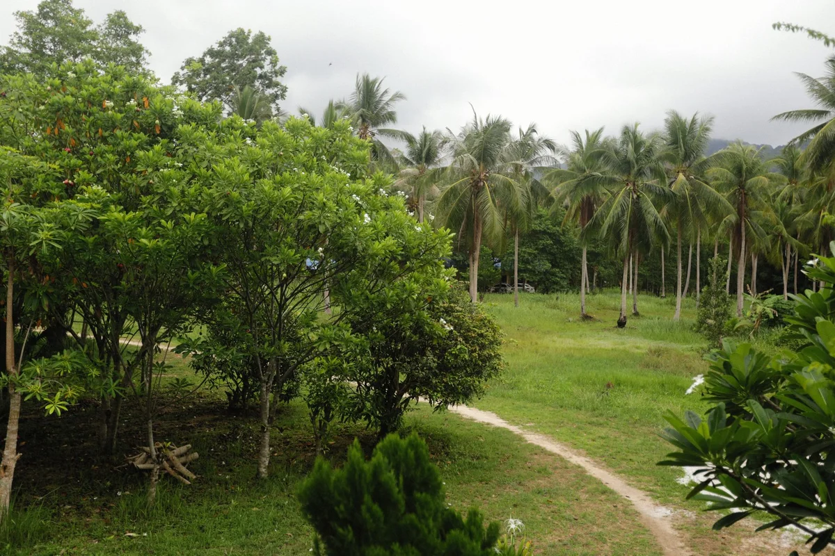 COPE Visitor Centre view 2