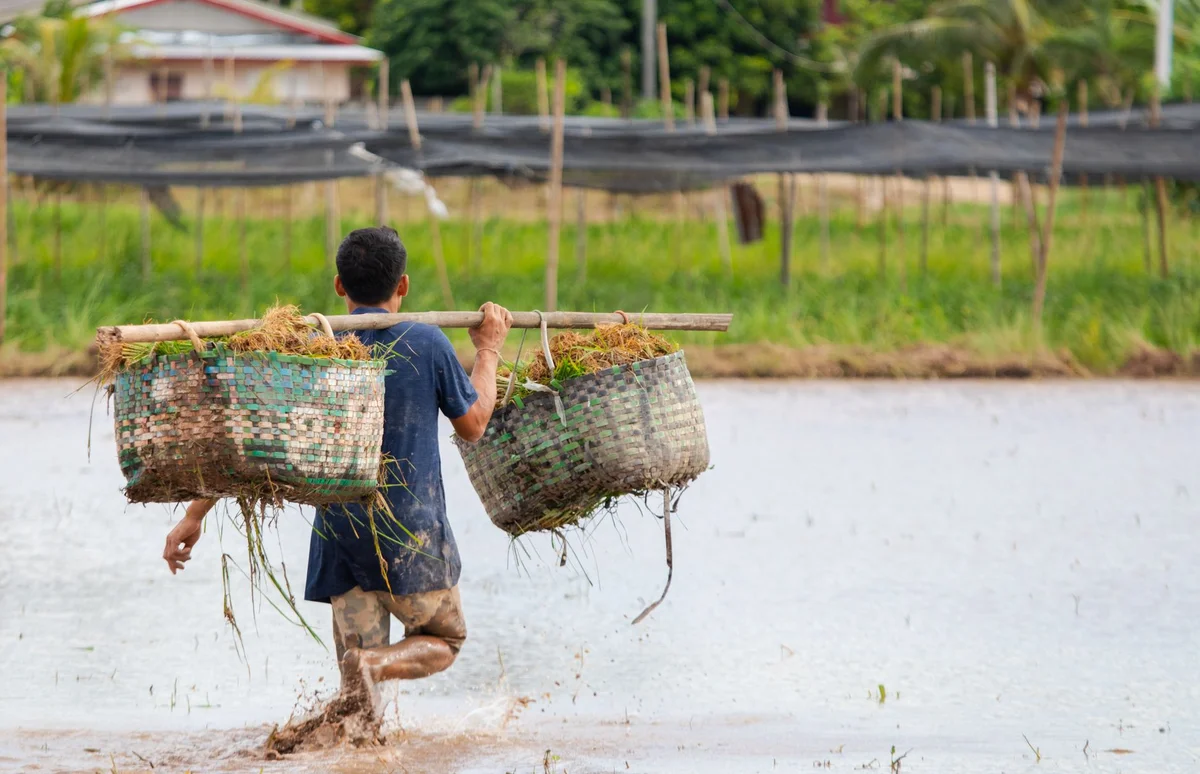 Luang Prabang Morning Market view 1