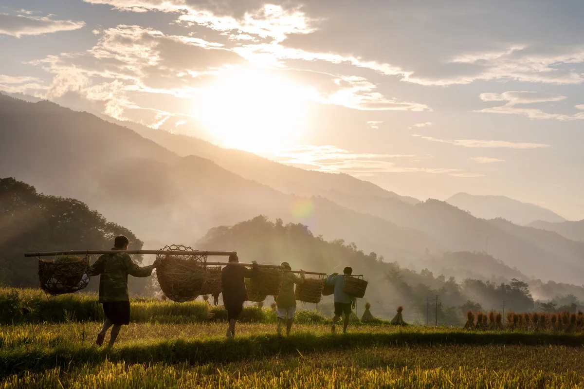 Luang Prabang Morning Market feature