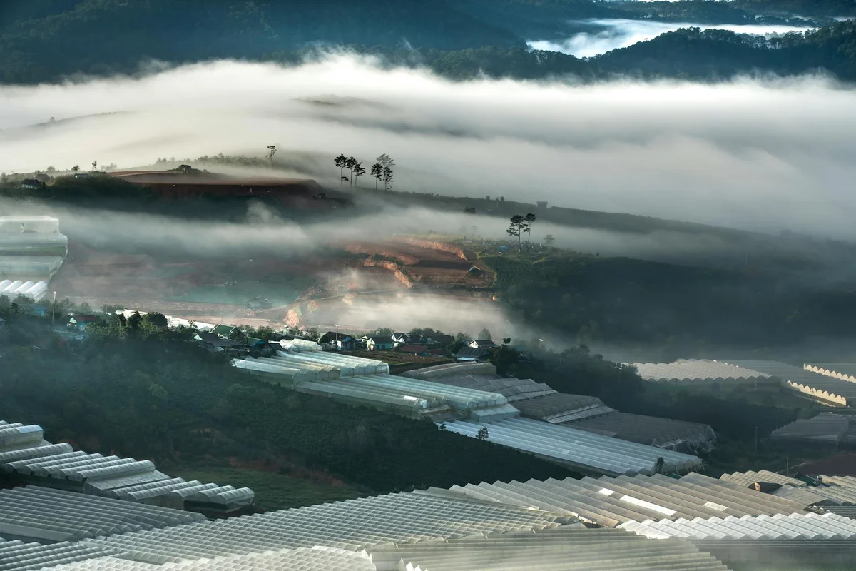 Kea Farm Market feature