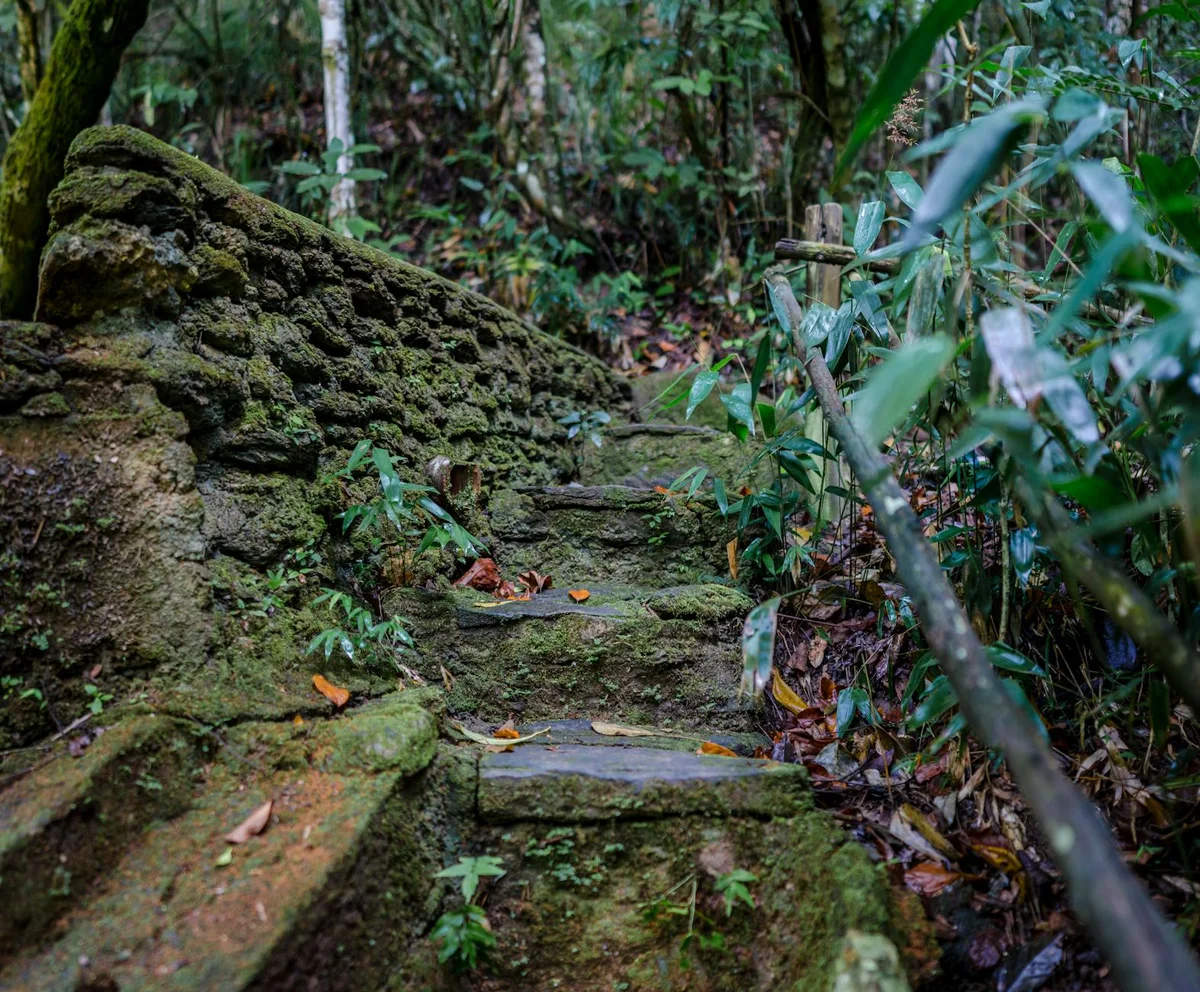 Tanah Rata view 2