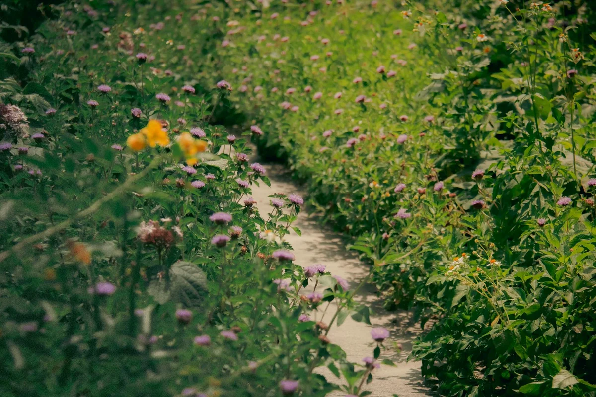 The Little Flower Garden view 2