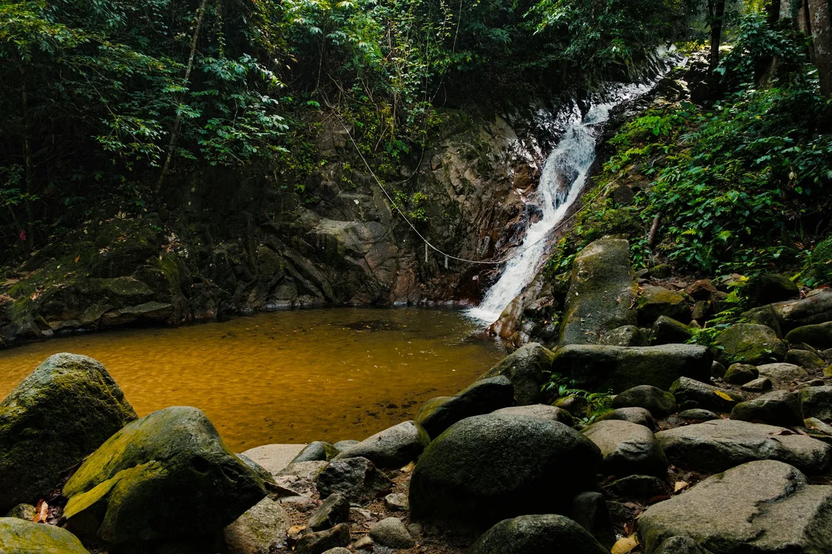 Endau-Rompin National Park feature
